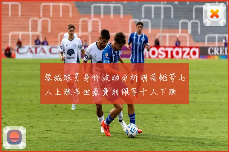 蓉城球员身价波动分析胡荷韬等七人上涨韦世豪费利佩等十人下跌